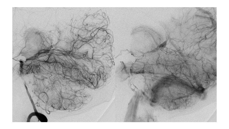 peristatiko 4 Page 8